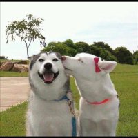 Tiva Folkes ❤️ Memecoin (@folkestiva) Twitter profile photo