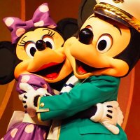 はれ@D垢 (@haredisney) 's Twitter Profile