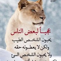 مهند اب (@zuwapvoja9moujd) Twitter profile photo