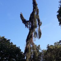 AndiEmscher (@andiemscher) 's Twitter Profile Photo