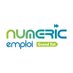 Numeric'Emploi Grand Est (@numericemploige) Twitter profile photo