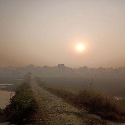 SachinK16717486's profile picture. Bihari....