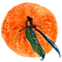 la Mandarina de Newton (@mandarinanewton) 's Twitter Profile