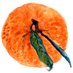 la Mandarina de Newton (@mandarinanewton) Twitter profile photo la Mandarina de Newton (@mandarinanewton) Twitter profile photo