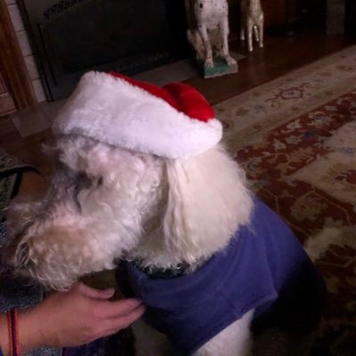 DealWithit5x5's profile picture. Booked