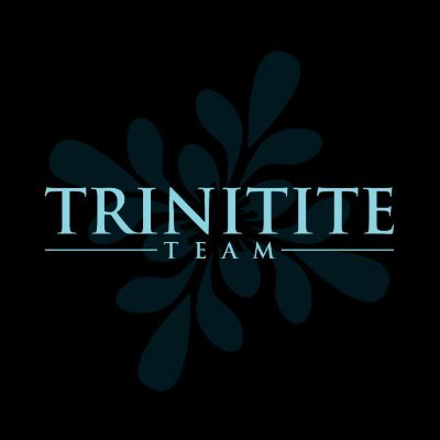 TrinititeTeam's profile picture. Working to create plot-driven games