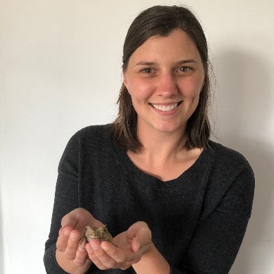 Assistant professor @univofdayton studying color polymorphism in salamanders and body size trends in mammals. she/her