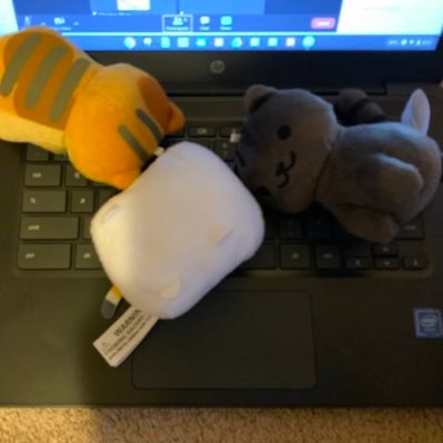 w6nder1's profile picture. i moved accounts months ago pls leave