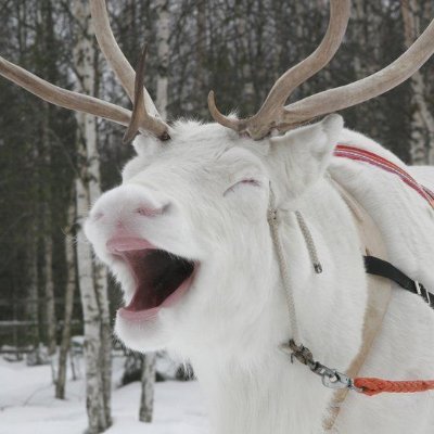 gemgal9's profile picture. “As long as the general population is passive, apathetic, diverted to consumerism or hatred of the vulnerable, then the powerful can do as they please" Chomsky