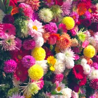 久保恵佳 (@kubokubo_ayaka) 's Twitter Profile Photo