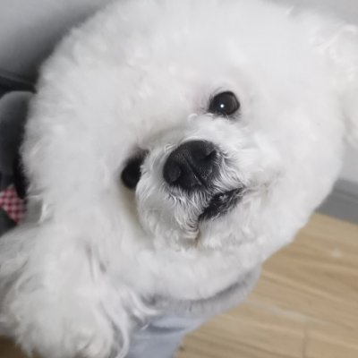 我就来看看