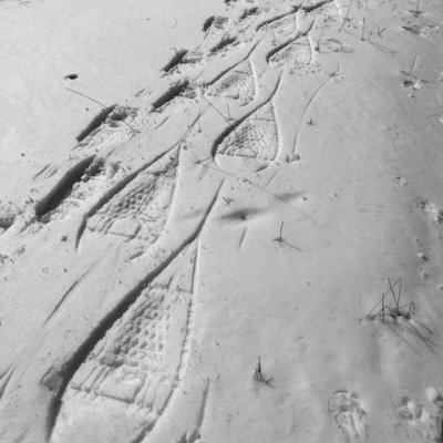 Daughter, Mother, Acupuncturist, Writer, Photographer, De-Traumatizer, Re-Peacer. Writing down the bones in active cultivation of a third way.