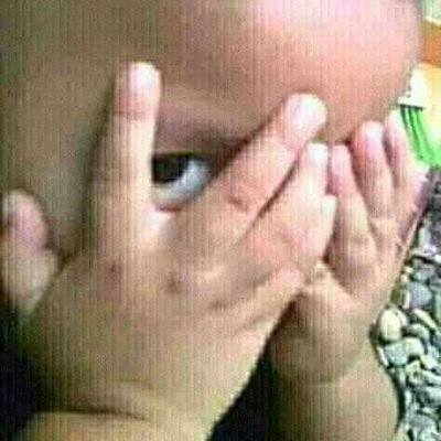 TreeoThe's profile picture. 