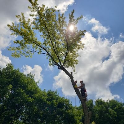 Tree care from the ground, up 🌳
Omaha - Fremont - Lincoln - Council Bluffs
(402) 215-6739