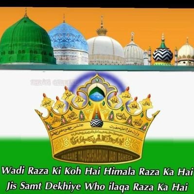 ہمیں تو کرنی ہے شہنشاہ بطحاکی رضا جوئی وہ جو ہو گۓ اپنے توہے رحمت پروردگار اپنی