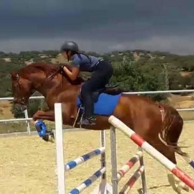 -TAFAD
-Máster en entrenamiento personal
-Entrenadora personal de @strength4riders
-Estudiante de veterinaria