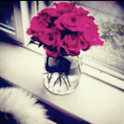 HT______'s profile picture. 