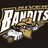 RiverBandits's profile image