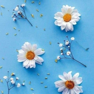 StorySweetest's profile picture. 