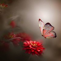 மீனா🐟🐟 (@meena04025141_c) 's Twitter Profile Photo