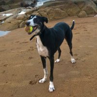 crailpam (@pamelaw31260390) 's Twitter Profile