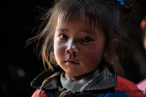 sangyal1's profile picture. It is the commercial and tutorial websites..