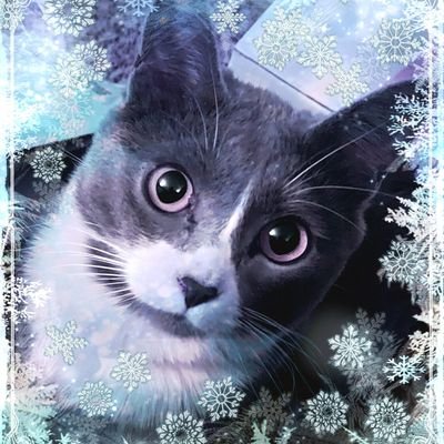 I love art and photography! I am just getting into NFTs and I love the cute ones, especially kitties and birds! Check out my Atomic Hub creations @Sirvanix