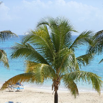 jlmck67's profile picture. American 
Patriot All The Way!
Conservative 
#TRUMP2024 
DM's get ya blocked! 🇺🇸🇺🇸🇺🇸
IFBAP