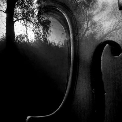 luminosa_music's profile picture. Galway’s own professional string orchestra. Beautiful concerts. Curating interesting, unique and thoughtful programmes. Promoting music education, reg charity.