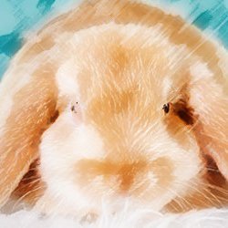 airupetgoods's profile picture. 楽天市場＆Yahoo!ストア&Amazon／ペット用品(🐇🐹🦜🐕🐈)／ペットと暮らす方のことを知りたい／繋がりたい♪／無言フォロー失礼します🙏 ／セール情報・商品紹介 ／たまにペットのことや雑談@福岡 各ショップへのリンクはURL(linktree)にて😊