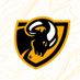 VCU Esports (@esportsvcu) Twitter profile photo VCU Esports (@esportsvcu) Twitter profile photo
