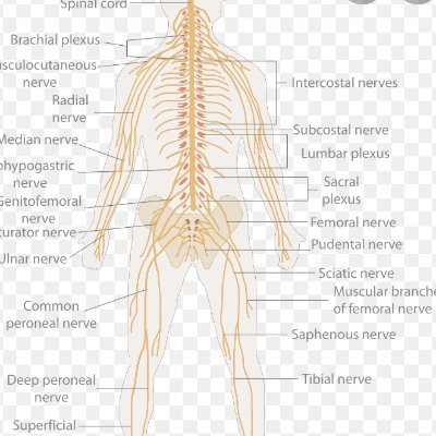 Emisnvssystm's profile picture. 