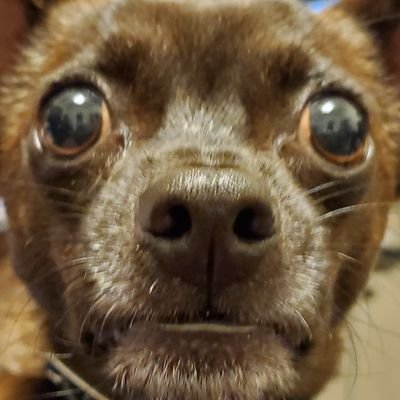 tcoop420's profile picture. 