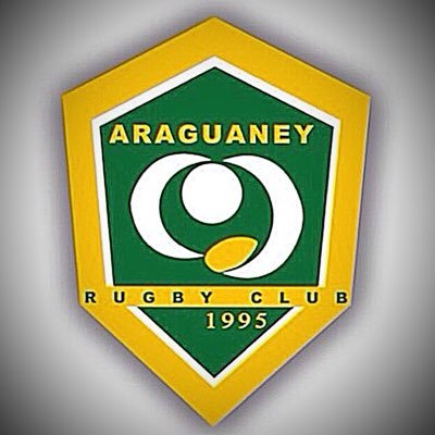 AraguaneyRC Profile Picture