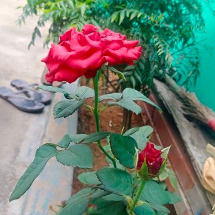 கடந்து போக கற்றுக்கொள். மாயமான இவ்வுலகில் காயங்களுக்கு நியாயங்கள் தேடாமல்....
