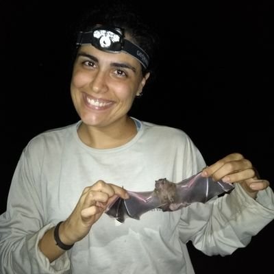 Chiropterologist of heart and formation. 🦇 Chasing bats at Pico da Bandeira. ⛰️