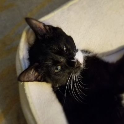 gustucky's profile picture. Life is good