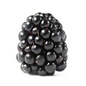 BlackBerryWorld's profile picture. NEWS, Infos, Tipps, LINKS rund um das Thema BlackBerry - Besucht doch auch @MobileMirror @RealityMirror @AndroidMirror und @HuaweiWorld