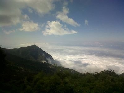 Francojbeta's profile picture. 100% Venezolano
Emprendedor