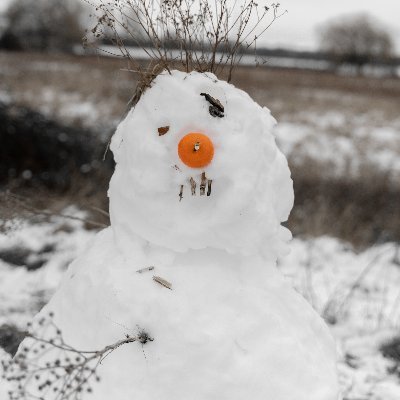 I am Mr. Snowman. Winter is my favourite season of the year. I love seeing y'all dressed all tied up in a multiple-layered thermal clothing, boots and gloves.