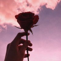 Its an Aesthetic (@astheticposts5) 's Twitter Profile