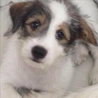 Tyee Atherton ❤️ Memecoin (@athertontyee) 's Twitter Profile