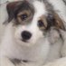 Tyee Atherton ❤️ Memecoin (@athertontyee) Twitter profile photo Tyee Atherton ❤️ Memecoin (@athertontyee) Twitter profile photo