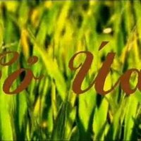 Talon Greenwood ❤️ Memecoin (@greenwoodtalon) 's Twitter Profile
