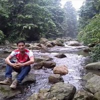Wrenn Harkcom ❤️ Memecoin (@harkcomwrenn) 's Twitter Profile