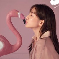 ○まる○ (@ohadayowa) Twitter profile photo