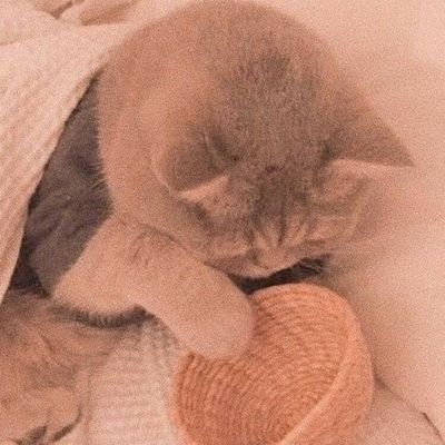 dotcomdotmy_'s profile picture. 🎶