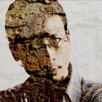 Lola Catledge ❤️ Memecoin (@catledgelola) 's Twitter Profile