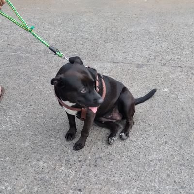 wadadapdap01's profile picture. 