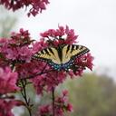 Jen Mayer - @jenlyn113 - Twitter